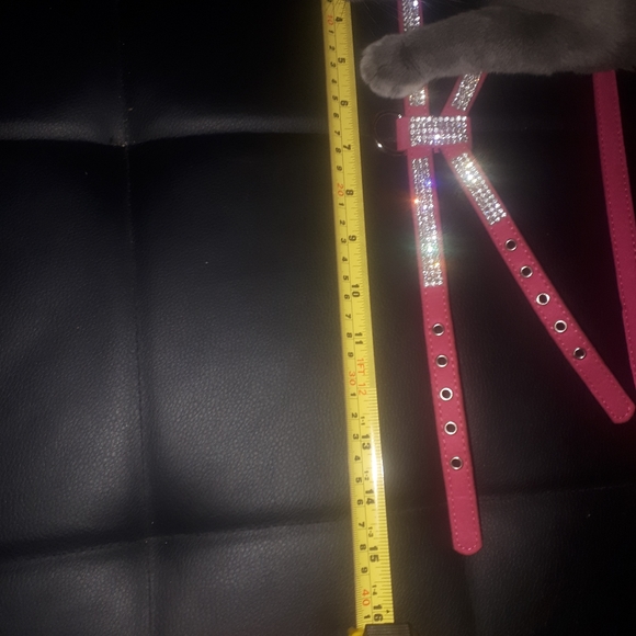 Cat/dog halter/leash - Picture 6 of 13